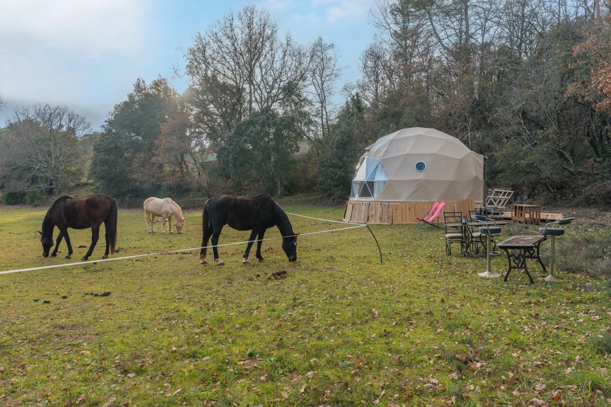 La Cabane Aux Chevaux Varages Exterior foto